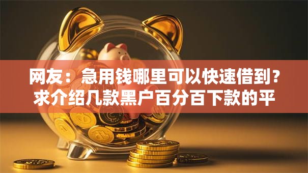 网友：急用钱哪里可以快速借到？求介绍几款黑户百分百下款的平台