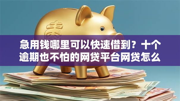 急用钱哪里可以快速借到?十个逾期也不怕的网贷平台网贷怎么样 急用钱哪里可以快速借到?十个逾期也不怕的网贷平台网贷怎么样
