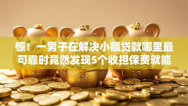 惊！一男子在解决小额贷款哪里最可靠时竟然发现5个收担保费就能下款的口子，事后分享了出来