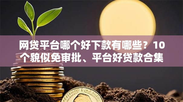 网贷平台哪个好下款有哪些？10个貌似免审批、平台好贷款合集
