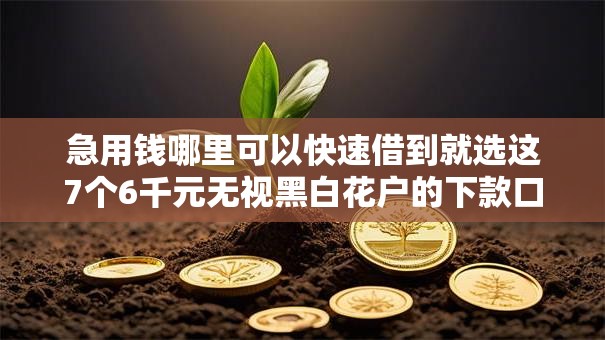急用钱哪里可以快速借到就选这7个6千元无视黑白花户的下款口子 急用钱哪里可以快速借到就选这7个6千元无视黑白花户的下款口子