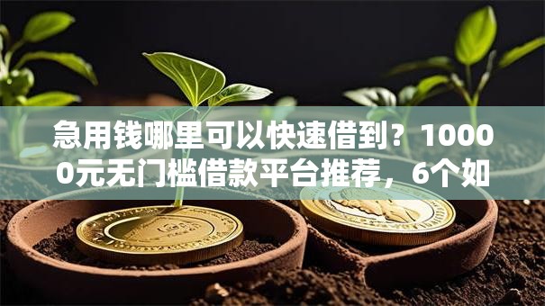 急用钱哪里可以快速借到？10000元无门槛借款平台推荐，6个如何举报网贷平台盘点