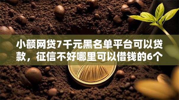 小额网贷7千元黑名单平台可以贷款，征信不好哪里可以借钱的6个平台介绍