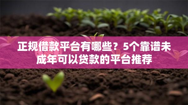 正规借款平台有哪些?5个靠谱未成年可以贷款的平台推荐 正规借款平台有哪些?5个靠谱未成年可以贷款的平台推荐