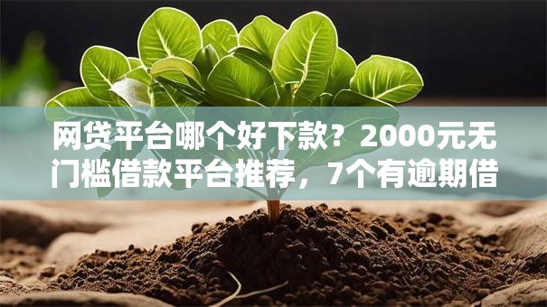 网贷平台哪个好下款？2000元无门槛借款平台推荐，7个有逾期借款容易通过的口子盘点