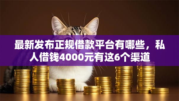 最新发布正规借款平台有哪些，私人借钱4000元有这6个渠道