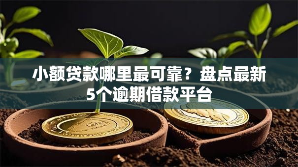 小额贷款哪里最可靠？盘点最新5个逾期借款平台