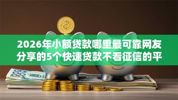 2026年小额贷款哪里最可靠网友分享的5个快速贷款不看征信的平台我觉得不错！