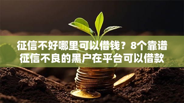 征信不好哪里可以借钱?8个靠谱征信不良的黑户在平台可以借款推荐 征信不好哪里可以借钱?8个靠谱征信不良的黑户在平台可以借款推荐