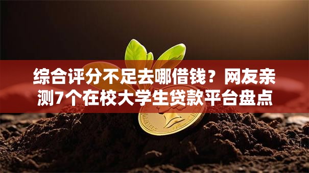 综合评分不足去哪借钱？网友亲测7个在校大学生贷款平台盘点