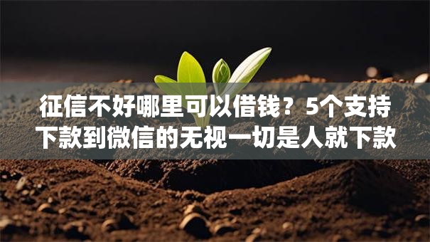 征信不好哪里可以借钱？5个支持下款到微信的无视一切是人就下款app