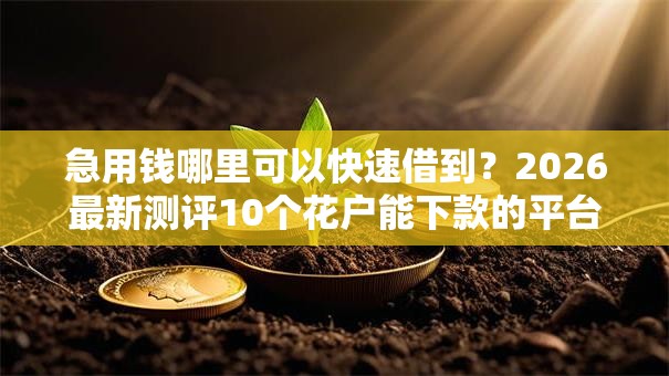 急用钱哪里可以快速借到？2026最新测评10个花户能下款的平台