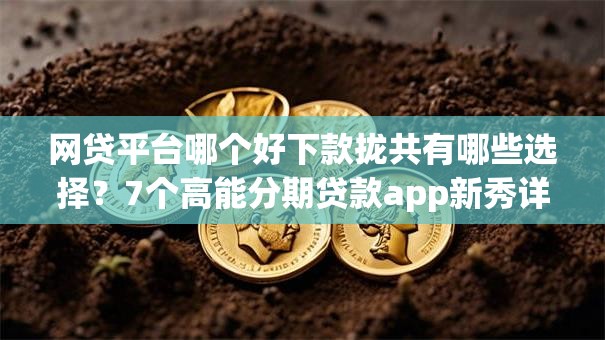 网贷平台哪个好下款拢共有哪些选择?7个高能分期贷款app新秀详解 网贷平台哪个好下款拢共有哪些选择?7个高能分期贷款app新秀详解