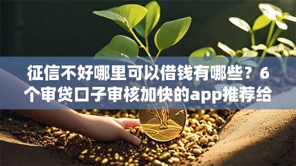 征信不好哪里可以借钱有哪些?6个审贷口子审核加快的app推荐给你 征信不好哪里可以借钱有哪些?6个审贷口子审核加快的app推荐给你