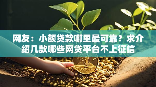 网友：小额贷款哪里最可靠？求介绍几款哪些网贷平台不上征信
