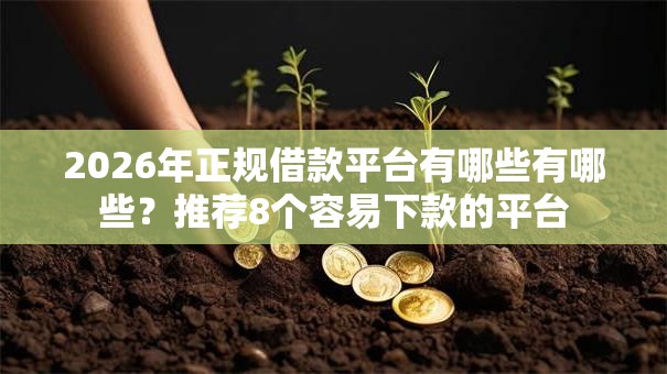 2026年正规借款平台有哪些有哪些？推荐8个容易下款的平台