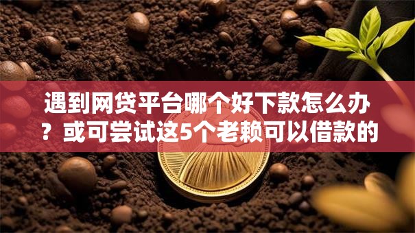 遇到网贷平台哪个好下款怎么办？或可尝试这5个老赖可以借款的平台的