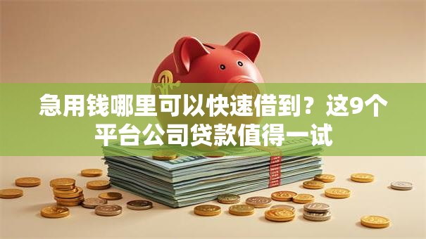 急用钱哪里可以快速借到?这9个平台公司贷款值得一试 急用钱哪里可以快速借到?这9个平台公司贷款值得一试