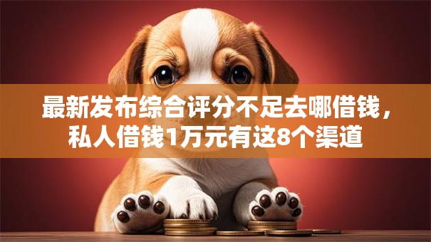 最新发布综合评分不足去哪借钱，私人借钱1万元有这8个渠道