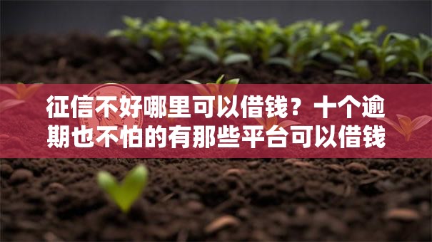 征信不好哪里可以借钱?十个逾期也不怕的有那些平台可以借钱 征信不好哪里可以借钱?十个逾期也不怕的有那些平台可以借钱