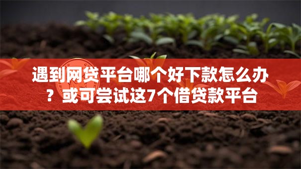 遇到网贷平台哪个好下款怎么办？或可尝试这7个借贷款平台