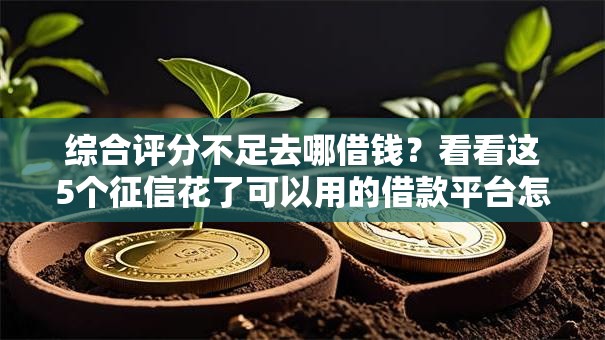 综合评分不足去哪借钱？看看这5个征信花了可以用的借款平台怎么样