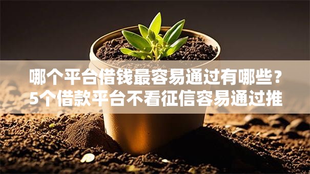 哪个平台借钱最容易通过有哪些？5个借款平台不看征信容易通过推荐给你