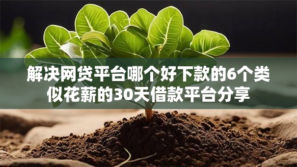 解决网贷平台哪个好下款的6个类似花薪的30天借款平台分享