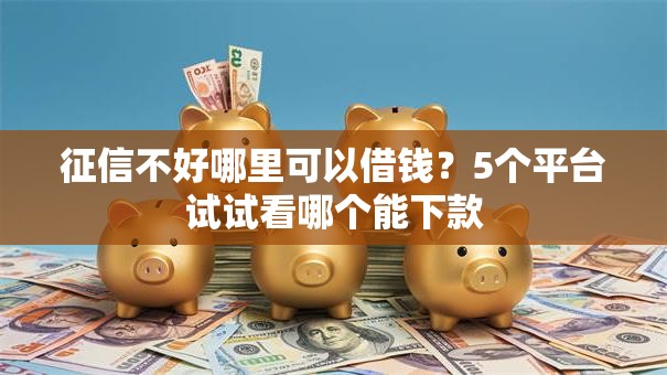 征信不好哪里可以借钱？5个平台试试看哪个能下款