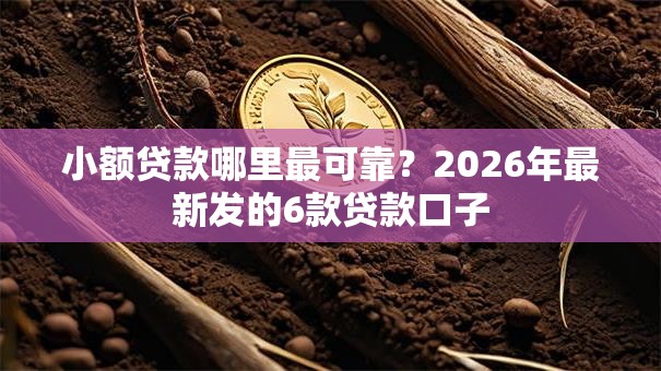 小额贷款哪里最可靠？2026年最新发的6款贷款口子