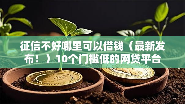 征信不好哪里可以借钱(最新发布!)10个门槛低的网贷平台 征信不好哪里可以借钱(最新发布!)10个门槛低的网贷平台