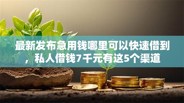 最新发布急用钱哪里可以快速借到,私人借钱7千元有这5个渠道 最新发布急用钱哪里可以快速借到,私人借钱7千元有这5个渠道