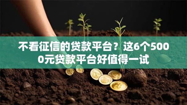 不看征信的贷款平台?这6个5000元贷款平台好值得一试 不看征信的贷款平台?这6个5000元贷款平台好值得一试