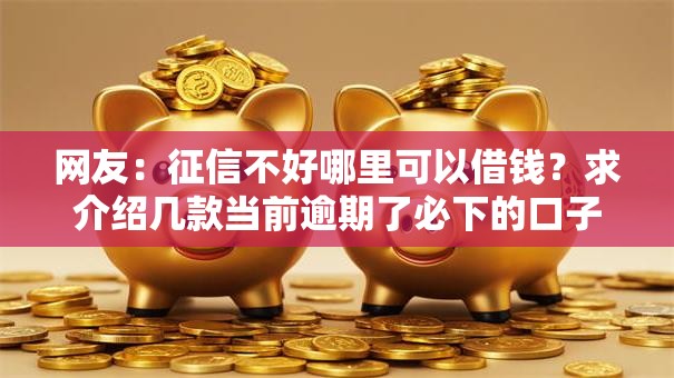 网友：征信不好哪里可以借钱？求介绍几款当前逾期了必下的口子