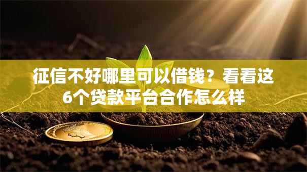 征信不好哪里可以借钱？看看这6个贷款平台合作怎么样
