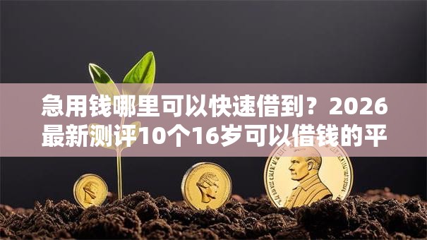 急用钱哪里可以快速借到？2026最新测评10个16岁可以借钱的平台