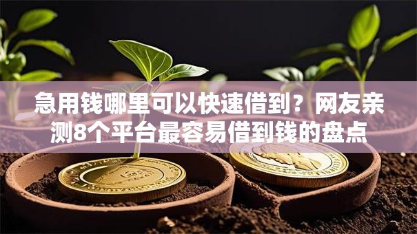 急用钱哪里可以快速借到?网友亲测8个平台最容易借到钱的盘点 急用钱哪里可以快速借到?网友亲测8个平台最容易借到钱的盘点