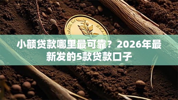 小额贷款哪里最可靠?2026年最新发的5款贷款口子 小额贷款哪里最可靠?2026年最新发的5款贷款口子