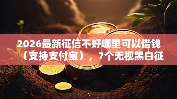 2026最新征信不好哪里可以借钱（支持支付宝），7个无视黑白征信的网贷无私分享