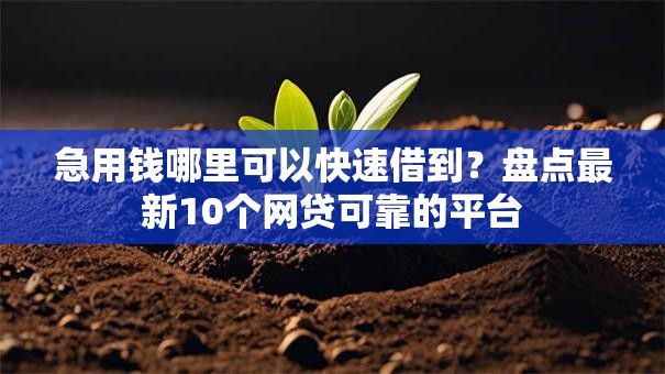 急用钱哪里可以快速借到？盘点最新10个网贷可靠的平台