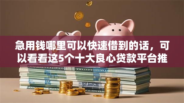 急用钱哪里可以快速借到的话，可以看看这5个十大良心贷款平台推荐