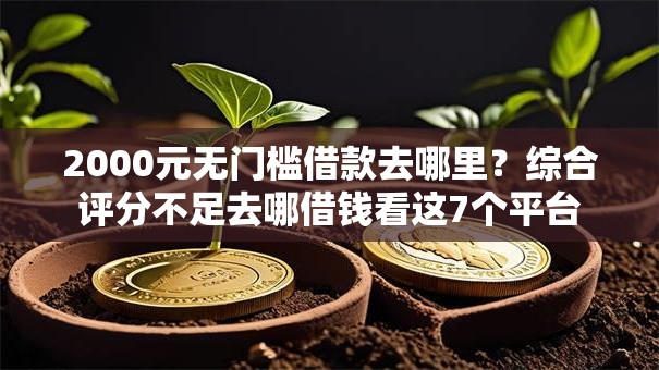 2000元无门槛借款去哪里？综合评分不足去哪借钱看这7个平台