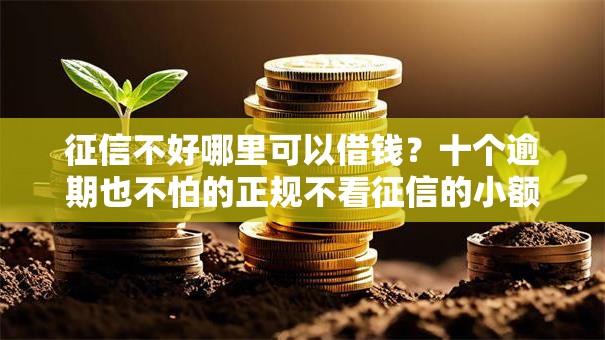 征信不好哪里可以借钱?十个逾期也不怕的正规不看征信的小额贷款口子 征信不好哪里可以借钱?十个逾期也不怕的正规不看征信的小额贷款口子