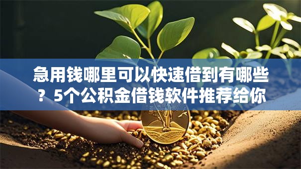 急用钱哪里可以快速借到有哪些？5个公积金借钱软件推荐给你