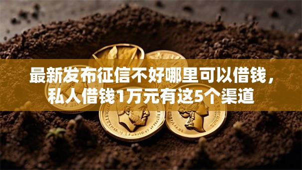 最新发布征信不好哪里可以借钱,私人借钱1万元有这5个渠道 最新发布征信不好哪里可以借钱,私人借钱1万元有这5个渠道