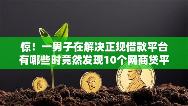 惊!一男子在解决正规借款平台有哪些时竟然发现10个网商贷平台,事后分享了出来 惊!一男子在解决正规借款平台有哪些时竟然发现10个网商贷平台,事后分享了出来