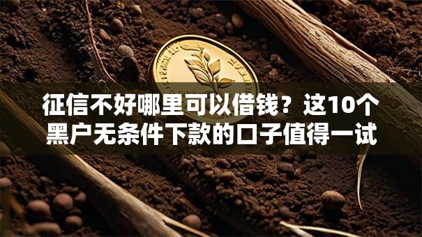 征信不好哪里可以借钱?这10个黑户无条件下款的口子值得一试 征信不好哪里可以借钱?这10个黑户无条件下款的口子值得一试