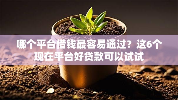 哪个平台借钱最容易通过?这6个现在平台好贷款可以试试 哪个平台借钱最容易通过?这6个现在平台好贷款可以试试