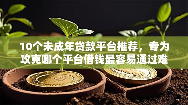 10个未成年贷款平台推荐,专为攻克哪个平台借钱最容易通过难题 10个未成年贷款平台推荐,专为攻克哪个平台借钱最容易通过难题