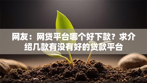 网友：网贷平台哪个好下款？求介绍几款有没有好的贷款平台